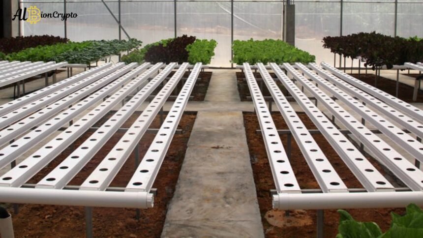 Hydroponic NFTs: A Fusion of Agriculture and Blockchain