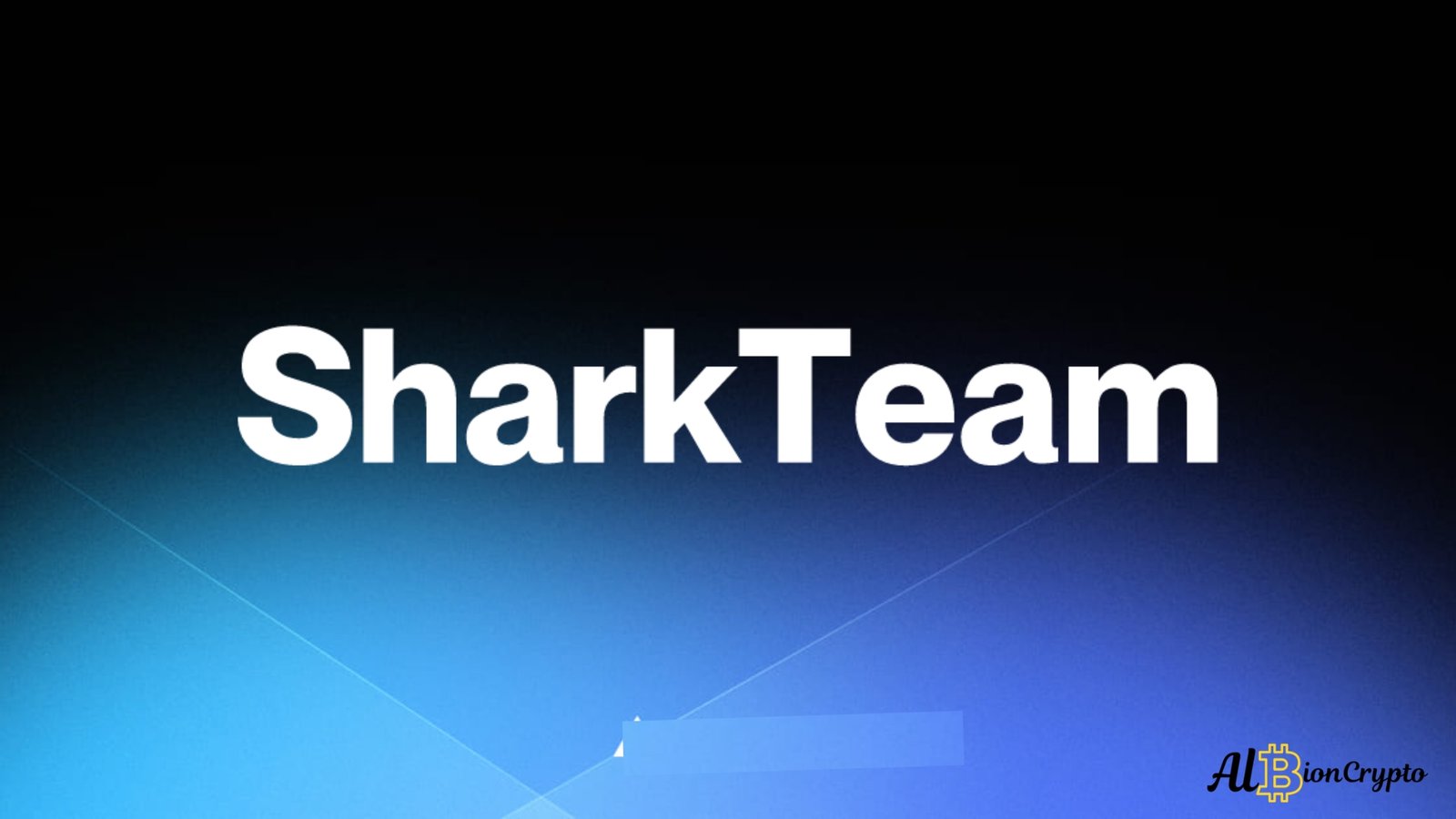 SharkTeam