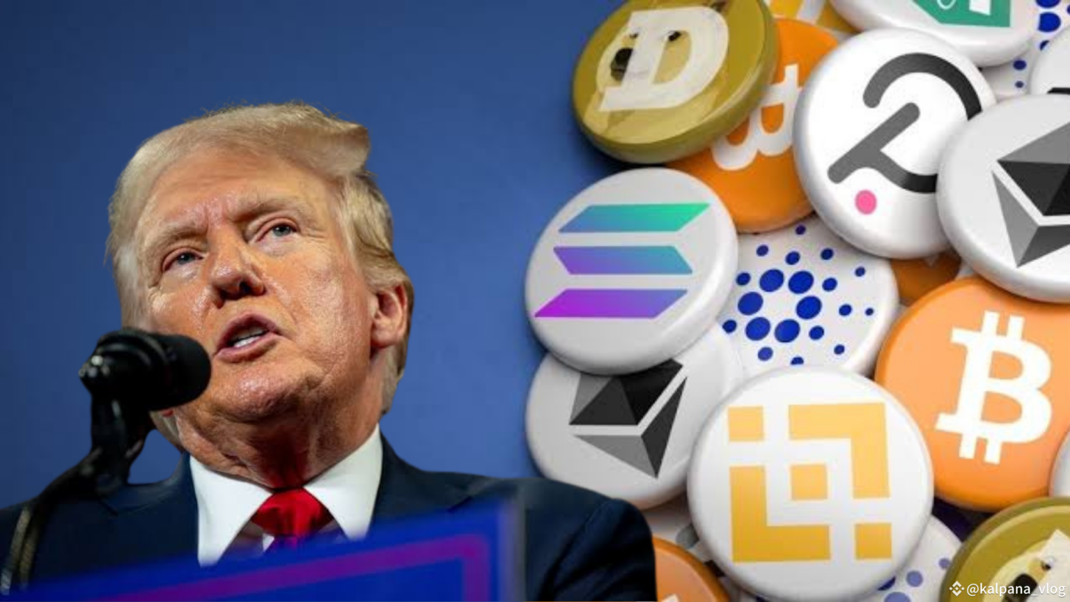 Trump's Crypto Portfolio Growth