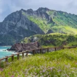 Jeju Island's NFT Visitor Cards to Revolutionize Tourism