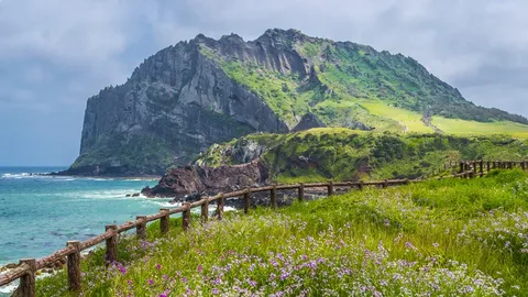 Jeju Island's NFT Visitor Cards to Revolutionize Tourism