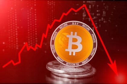 Bitcoin's 25% Decline Causes Market Impact and Resilience