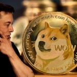 Dogecoin Blockchain Evolution