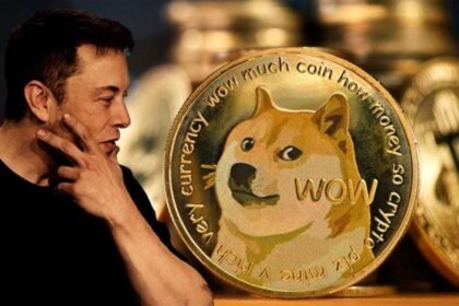 Dogecoin Blockchain Evolution