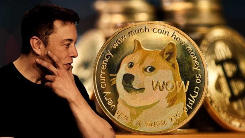 Dogecoin Blockchain Evolution