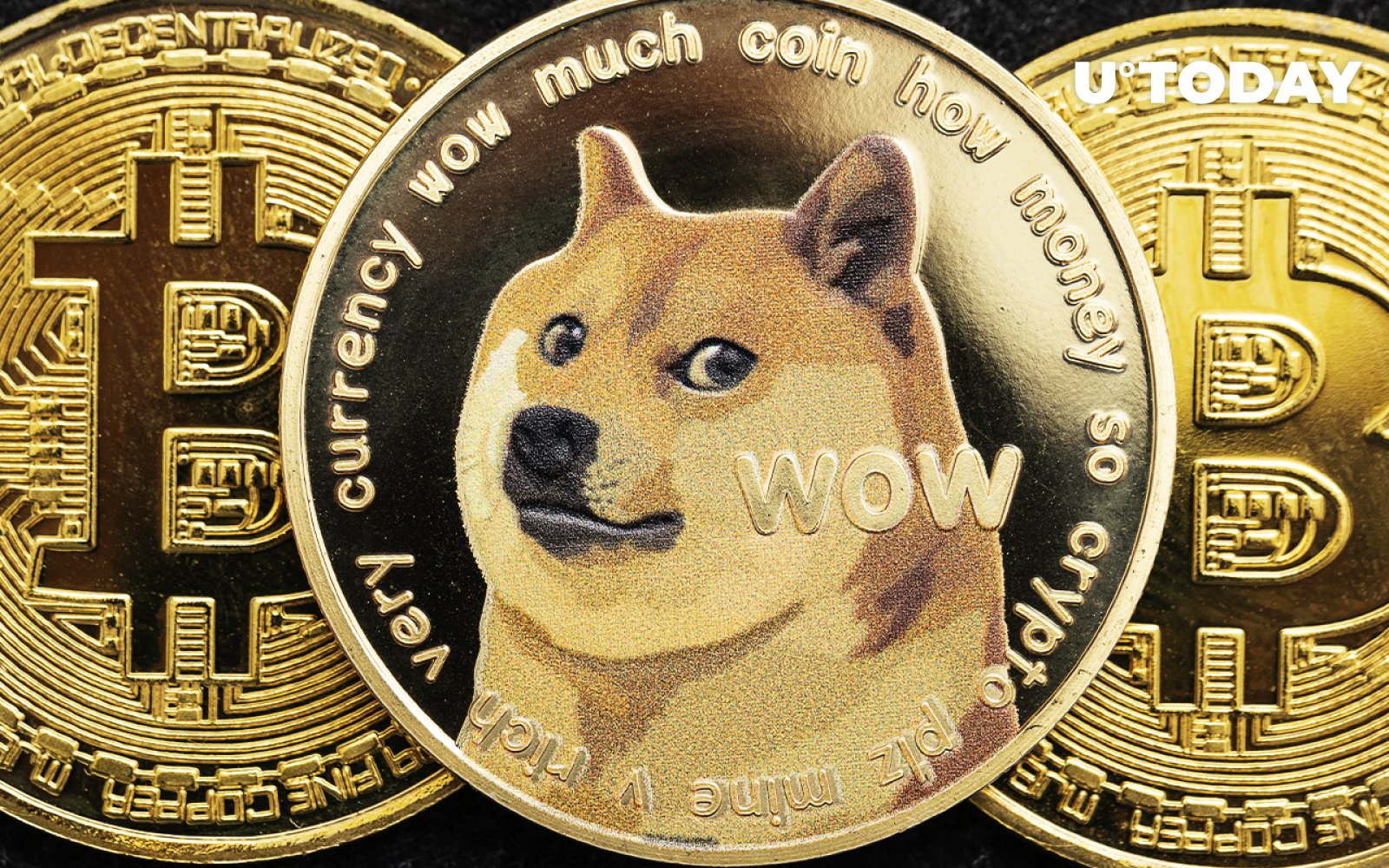 Dogecoin's Evolution and Adoption