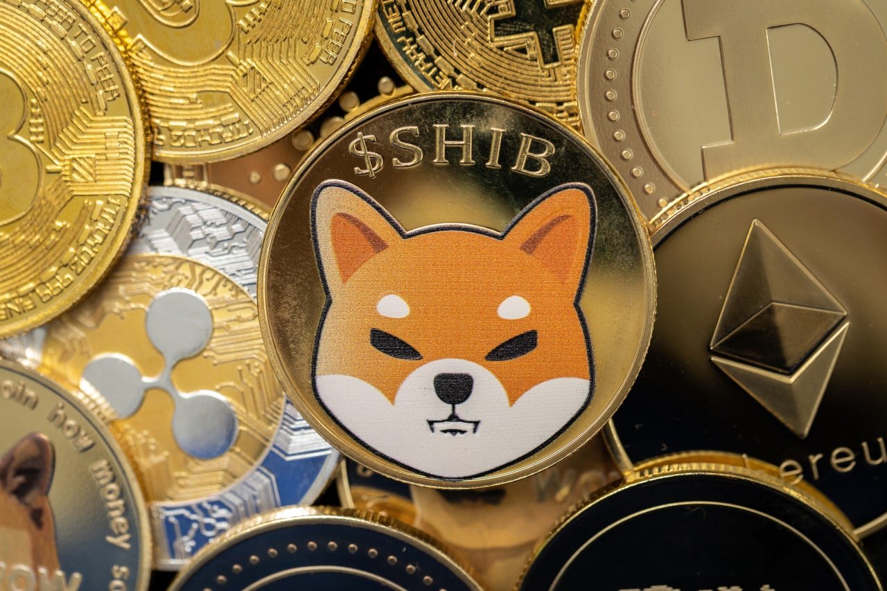 UAE & Shiba Inu Blockchain Tie-Up