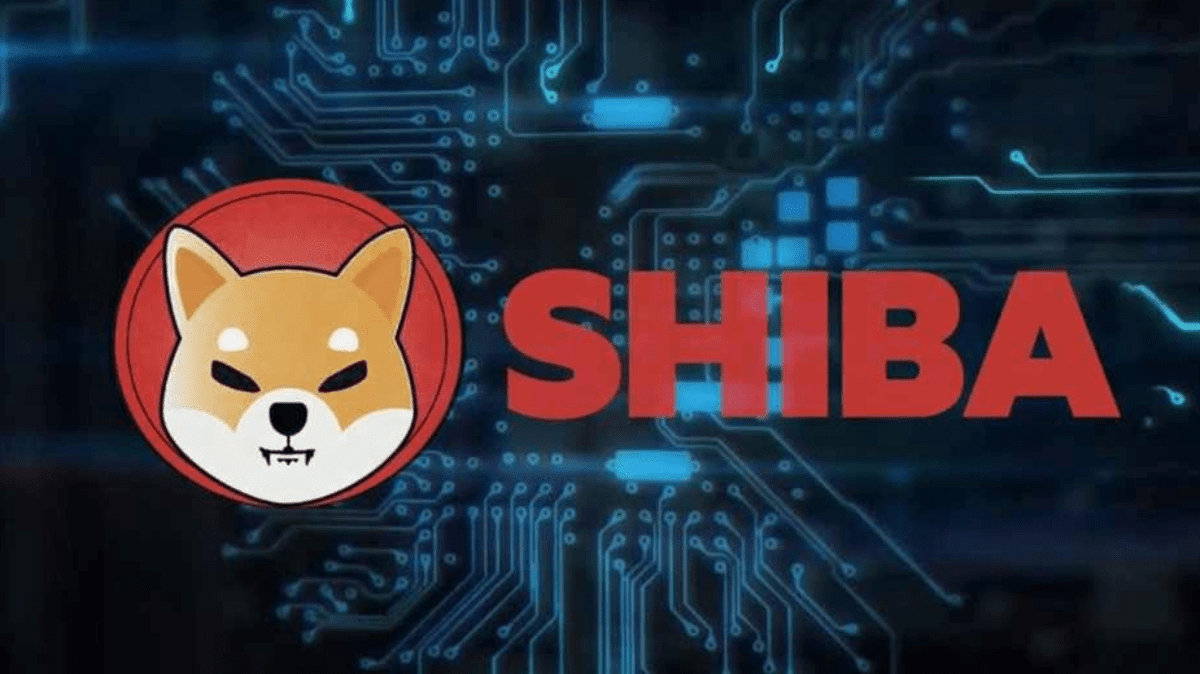 UAE & Shiba Inu Drive Digital Literacy