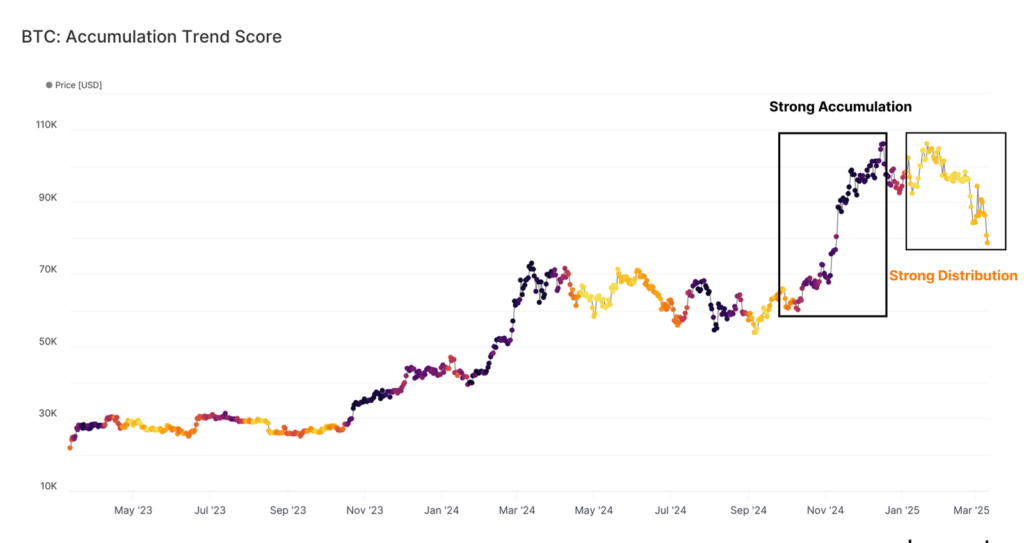 Bitcoin Stability vs Altcoin Volatility in 2025