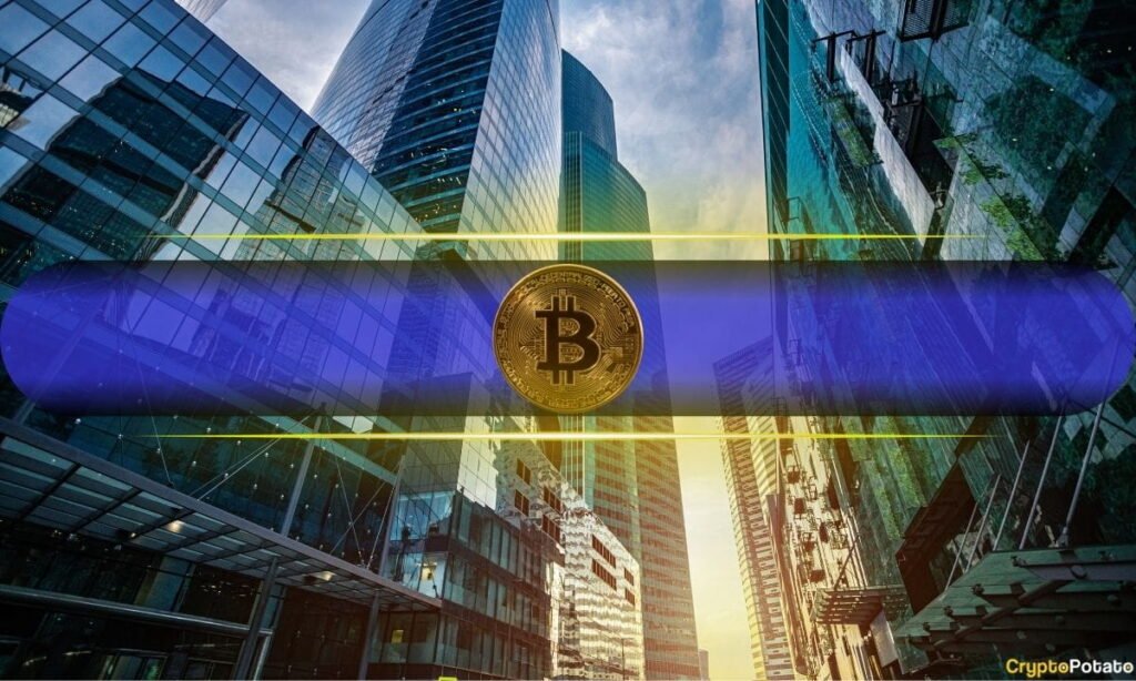 Institutional Investors Increasing Crypto Holdings in 2025