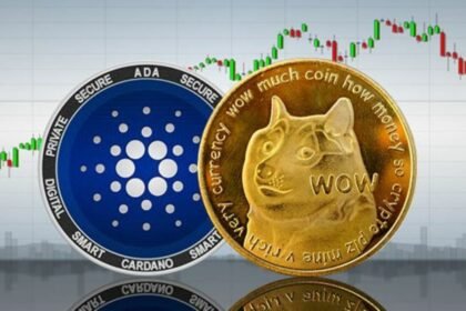Cardano Dogecoin and the Promising Remittix Altcoin