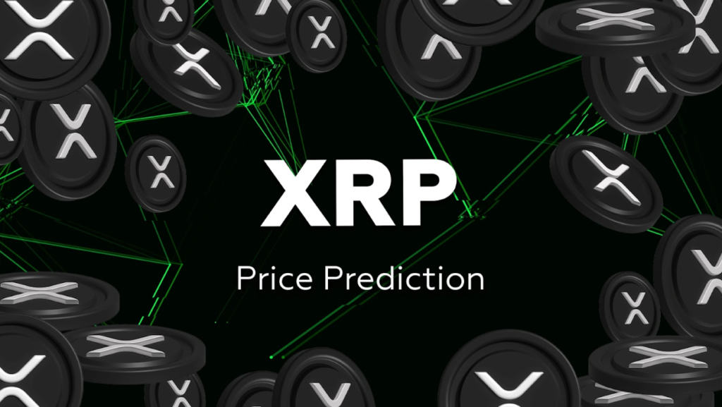 XRP's Market Potential