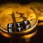 Reasons to Buy or DCA Spot Bitcoin ETFs Amid Decline