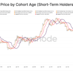 Bitcoin Short-Term Holders and Market Selloff Analysis