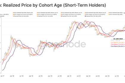 Bitcoin Short-Term Holders and Market Selloff Analysis