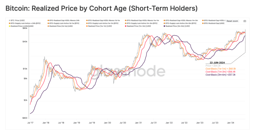 Bitcoin Short-Term Holders and Market Selloff Analysis