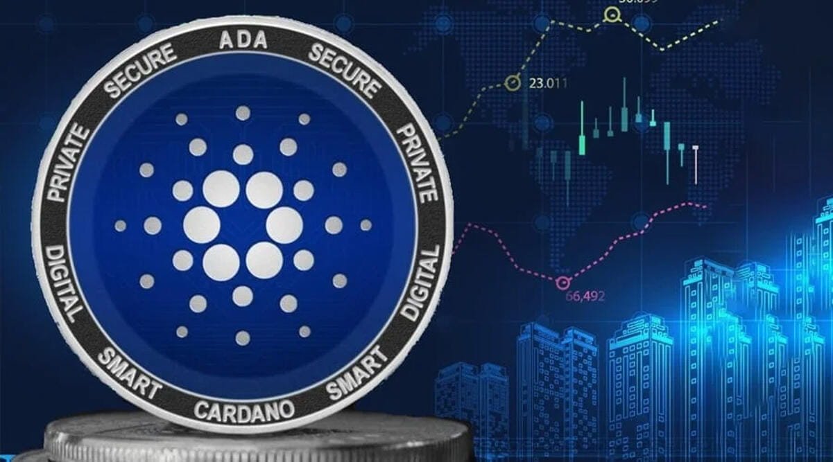 Cardano Developer Acquisition