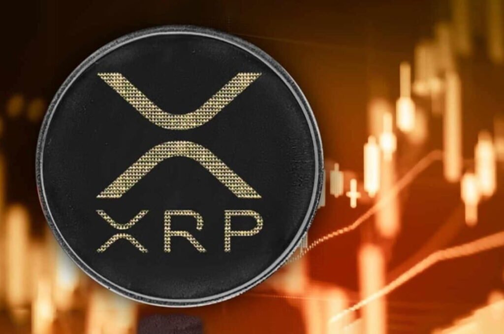 XRP Wallet Activity Rises