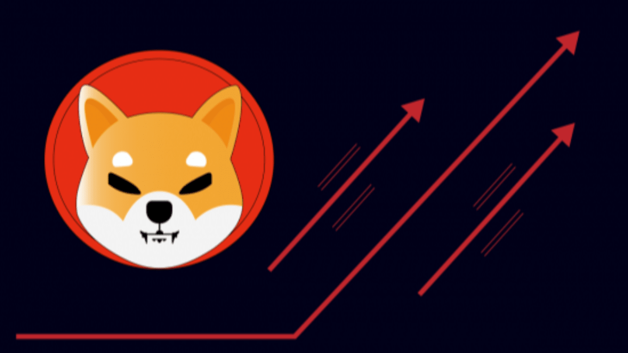 Shiba Inu Struggles