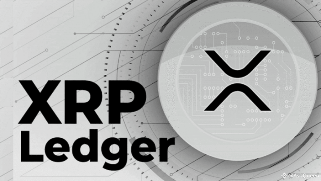 XPFinance: Non