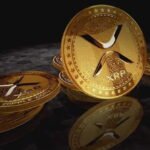 XRP Legal Victory