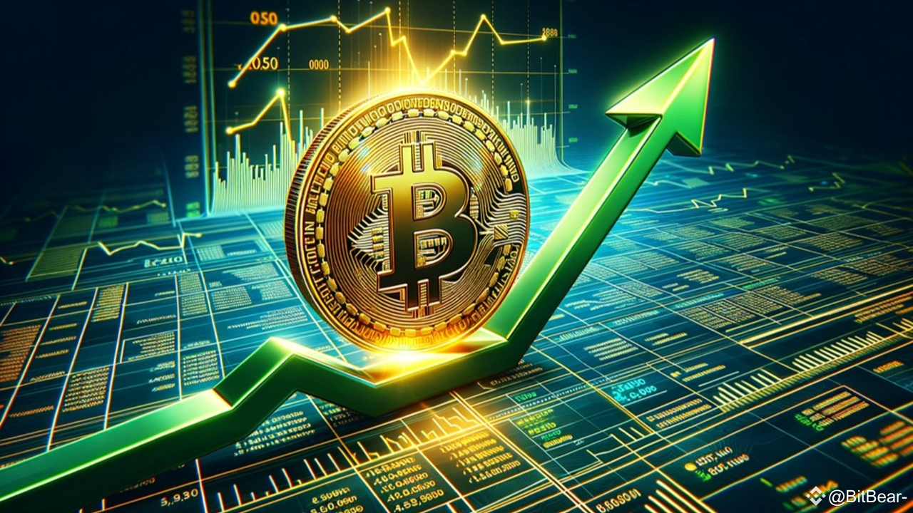 Bitcoin’s Price Surge Driven by Political Support