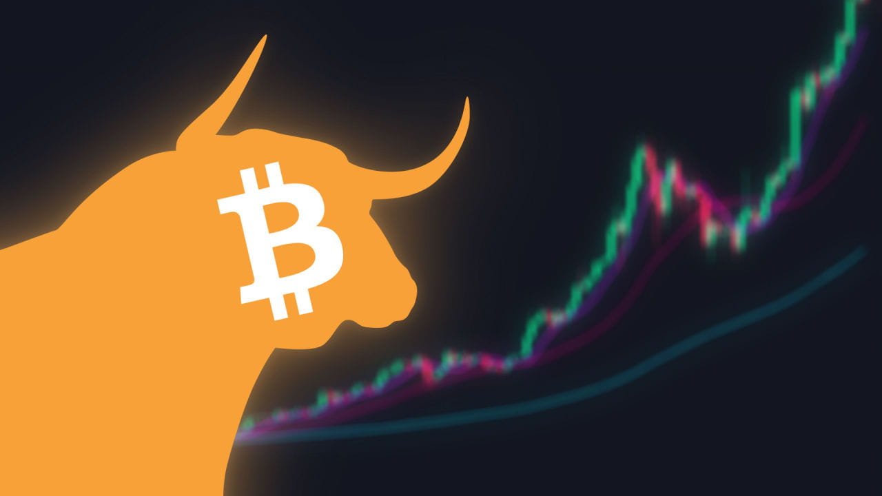 Bitcoin's Volatility and Potential for Bull Run Reversal