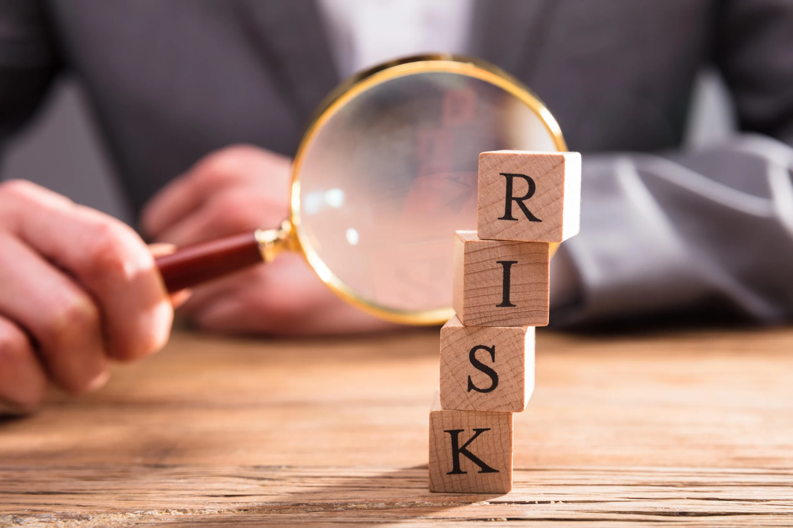 Risk Assessment and Investment Considerations